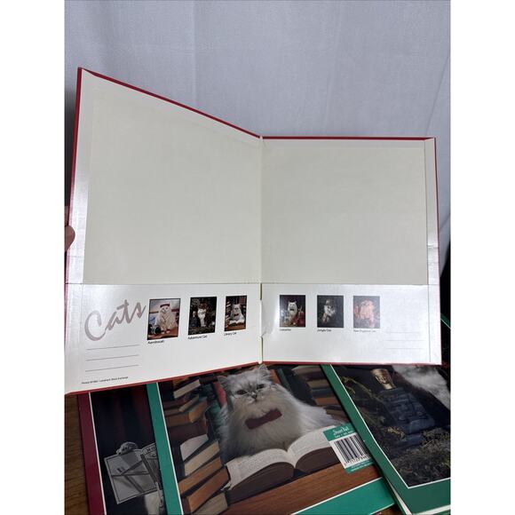 Vintage Stuart Hall Folder Lot Cats in School Unpunched Excellent Cond 1993 NOS - Picture 3 of 16